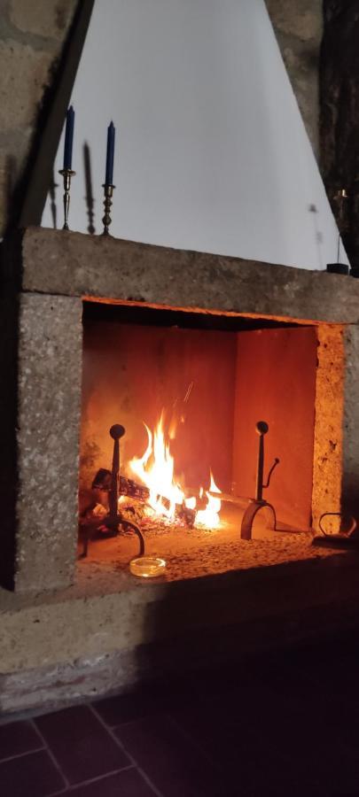 דירות La Chascona Di Farnese Casa Di Tufo Nel Borgo מראה חיצוני תמונה