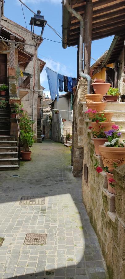דירות La Chascona Di Farnese Casa Di Tufo Nel Borgo מראה חיצוני תמונה