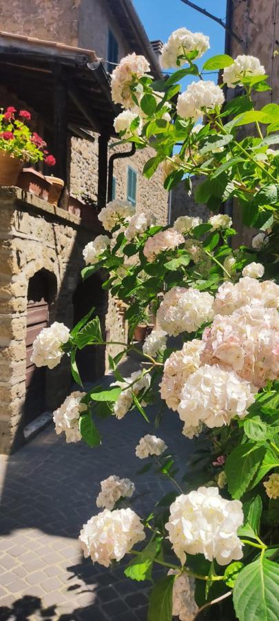 דירות La Chascona Di Farnese Casa Di Tufo Nel Borgo מראה חיצוני תמונה