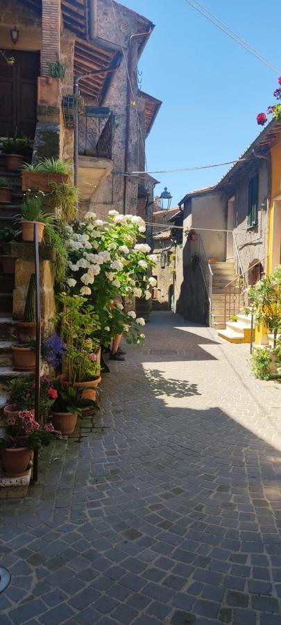דירות La Chascona Di Farnese Casa Di Tufo Nel Borgo מראה חיצוני תמונה